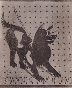 Mosaic, Cave Canem by Italian Photographer