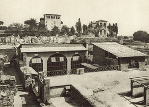 The Palatine, House of Livia by Italian Photographer