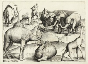 Animal Paintings from Ancient Rome, Table, 3., pub. Antonio Lafrere 1528 by Italian School