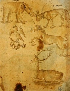 Animals