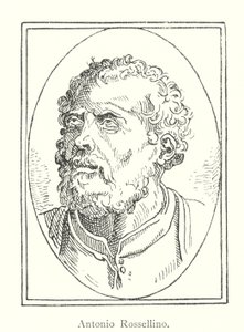 Antonio Rossellino (engraving) by Italian School