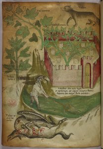 Botanical and animal illustration of plants, a walled garden, a wolf, a man fishing, and a vulture pecking a carcass