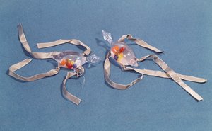 Copy of two medical thermometers from the Museo di Storia della Scienza in Florence by Italian School