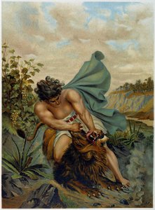 David fighting against a lion in Aurea Bibbia Classica: Storia della Rivelazione Divina nell