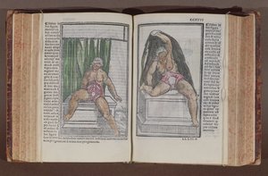 Female anatomy, from Commentaria cum amplissimis additionibus super anatomiam mundini, by Jacopo Berengario da Carpi published in Bologna, 1521 by Italian School