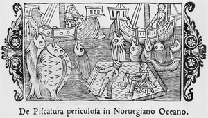 Fishing in the Norwegian Ocean (illustration from Historia de Gentibus Septentrionalibus by Olaus Magnus, published in Rome, 1555)