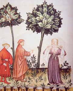 Cholera, illustration from Tacuinum Sanitatis Codex Vindobonensis