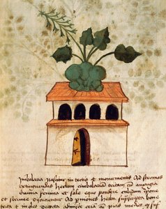 Hanging garden