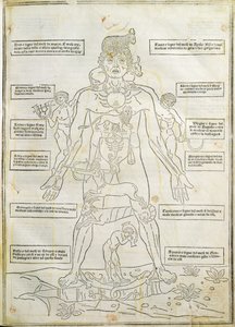Illustration from 