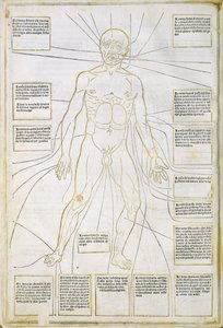 Illustration from 