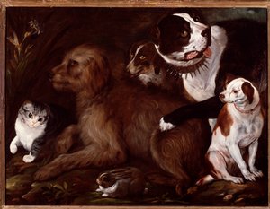 Medici Dogs, with a Cat and a Rabbit from the Italian School
