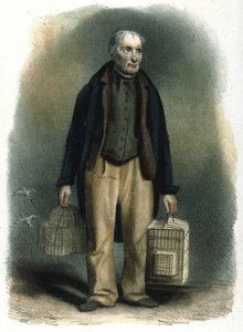 Milanese metier: a bird salesman in cage