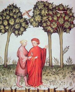 Two Friends Out for a Walk Together, from Tacuinum Sanitatis Codex Vindobonensis