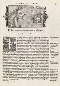 Page 735 from Historia De Gentivus Septentrionalibus by Magnus Olaus, Rome 1565 by Italian School