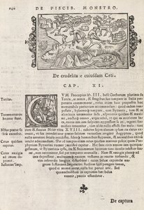 Page 740 from Historia De Gentivus Septentrionalibus by Magnus Olaus, Rome 1565