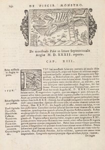 Page 742 from Historia De Gentivus Septentrionalibus by Magnus Olaus, Rome 1565