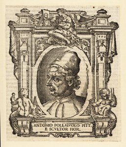Portrait of Antonio del Pollaiuolo by Italian School