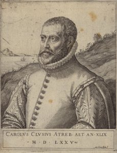 Portrait of Carolus Clusius by Italian School