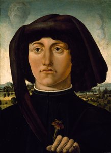 Portrait of a Young Man with a Pink Flower, c.1475-85