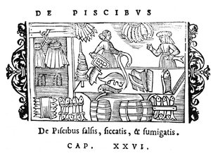 Salting, drying and smoking fish, illustration from Historia de Gentibus Septentrionalibus by Olaus Magnus, published in Rome, 1555