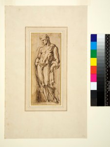 Study of an Antique Statue by Italian School