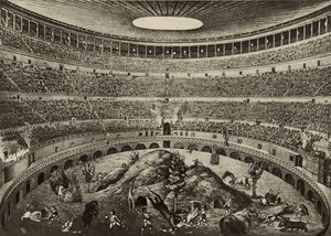 The Coliseum, The Great Wild Beast Chase