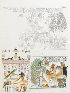 The deceased given food and wine by the Sycamore tree goddess and Anubis with the mummy