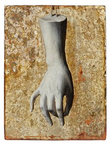 Still Life of a Fine Sculpted Female Hand