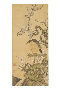 Hawk on a Blossoming Plum Branch