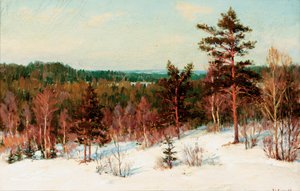 Winter - View over the Forest