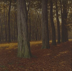 Woody Landscape