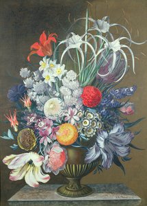Unknown Image by J.A. Simson