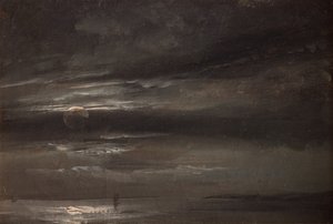 Moonlight over the Sea