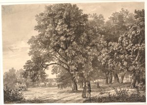 View of a Road in a Wood near Sorø, Zealand by Johan Christian Dahl
