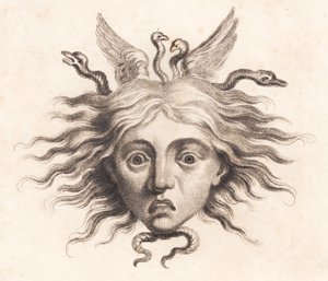 Medusa Head by J.F. Clemens