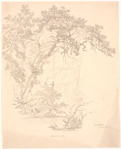 Trees by J.P. Møller