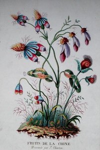 Fruits of China by J. (after) Charton