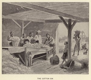 The Cotton Gin