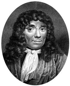 Antoni van Leeuwenhoek, Dutch pioneer of microscopy