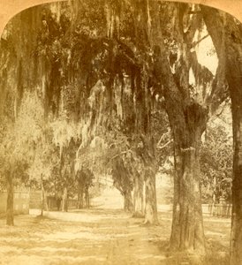 Entrance to St. Augustine, Florida, U.S.A.