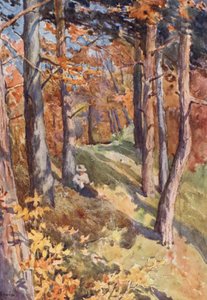 In the Forest of Sauvabelin, above Lausanne by J. Hardwicke Lewis