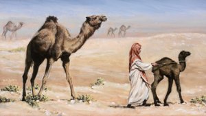 Mothers Troubles, 2008