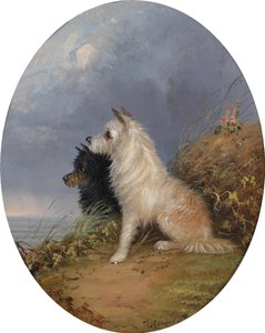 Two Dogs on the Beach