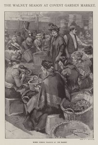 The Walnut Season at Covent Garden Market, London by J. Macfarlane