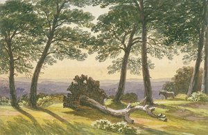 Hampstead Heath, London, c. 1830 by J Powell