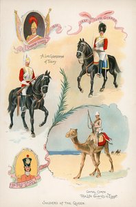Soldiers of Queen Victoria