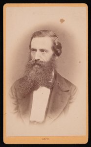Portrait of Mordecai Cubitt Cooke, 1873 by J Stegmann