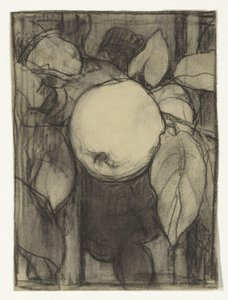 Keizer-Alexander Apple by Jac van Looij