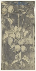 Bunch of Keizer-Alexander Apples by Jac van Looij