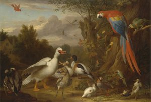 A Macaw, Ducks, Parrots and Other Birds in a Landscape by Jacob Bogdani